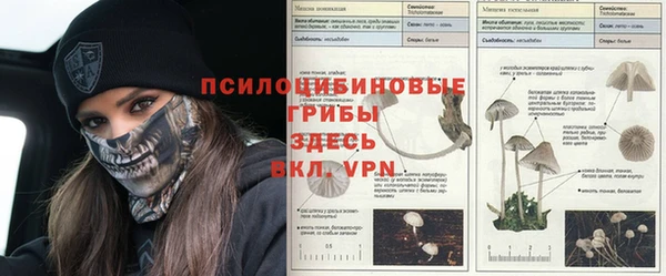 ешки Нефтегорск