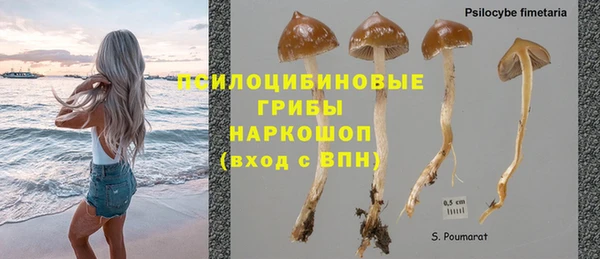 ешки Нефтегорск