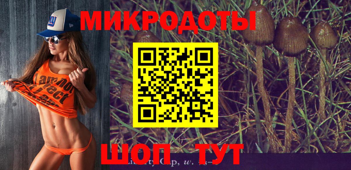 Галлюциногенные грибы мухоморы Ивантеевка