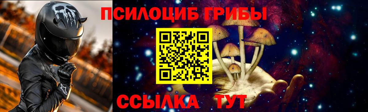 Ивантеевка  Псилоцибиновые грибы прущие грибы  Псилоцибиновые грибы прущие грибы  Вход с VPN 